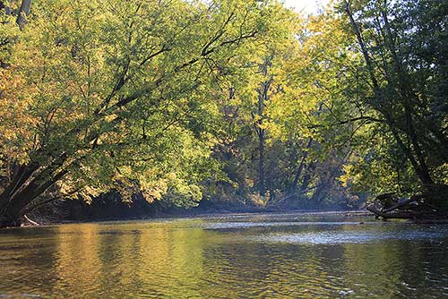 Rivers in the Anthropocene: The History and Current State of Our Nations Rivers