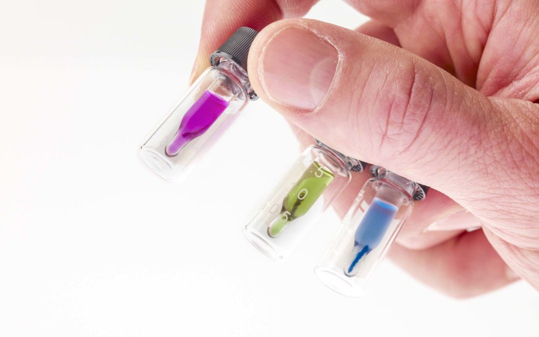 March 19th: Nature Drawing