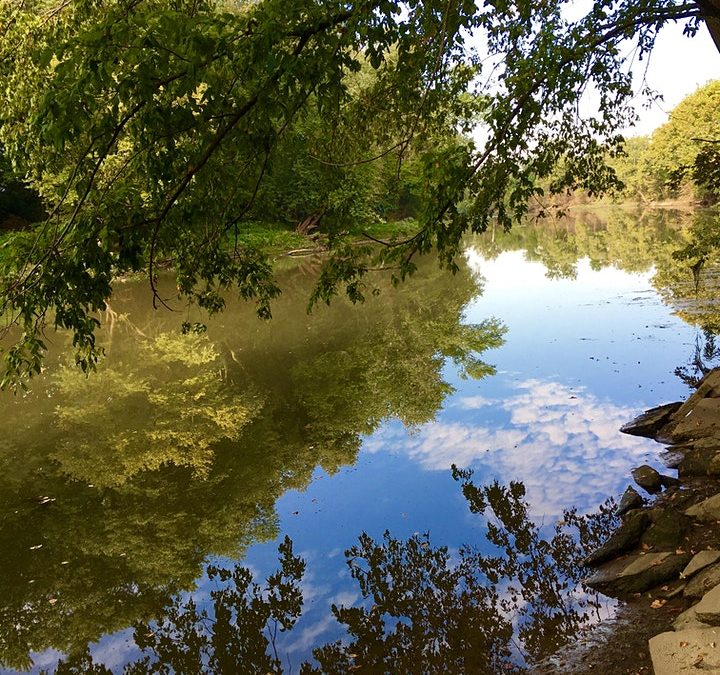 Connecting Community Through a Shared Vision of The White River