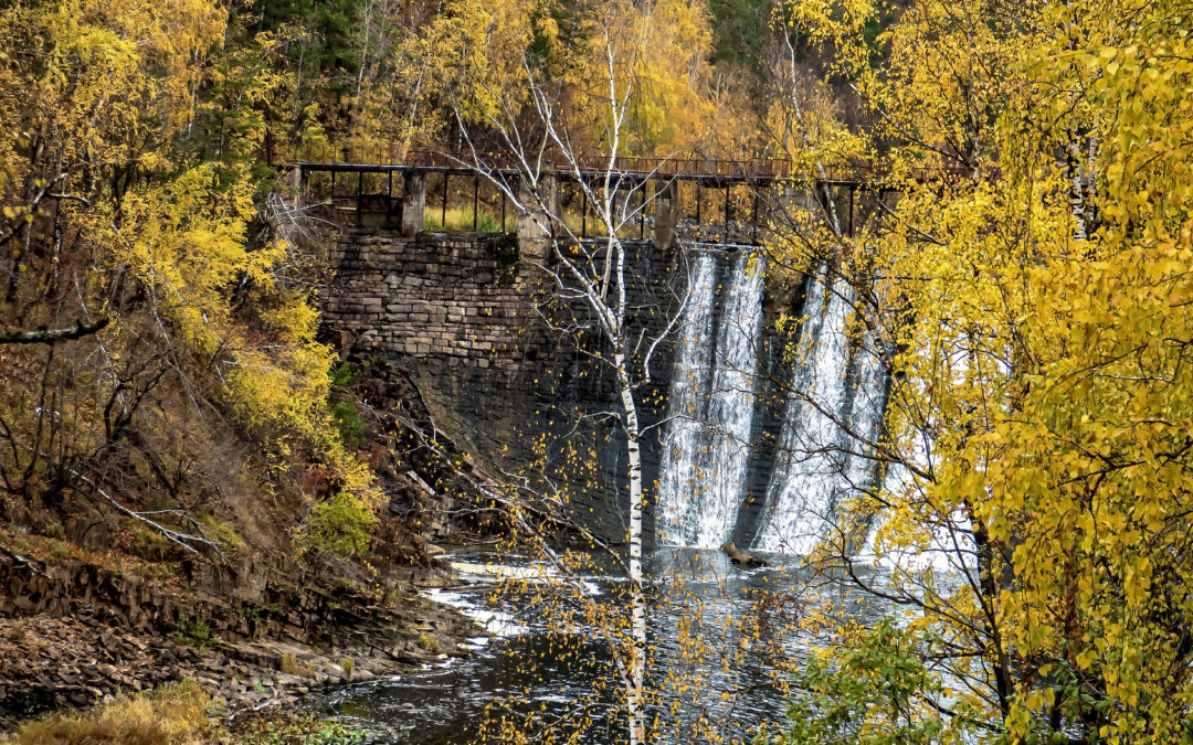 Conservation and Education: How Does One Support the Other?