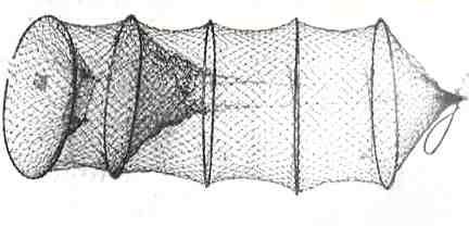 The Net Makers: Traditional Hoopnet Crafting