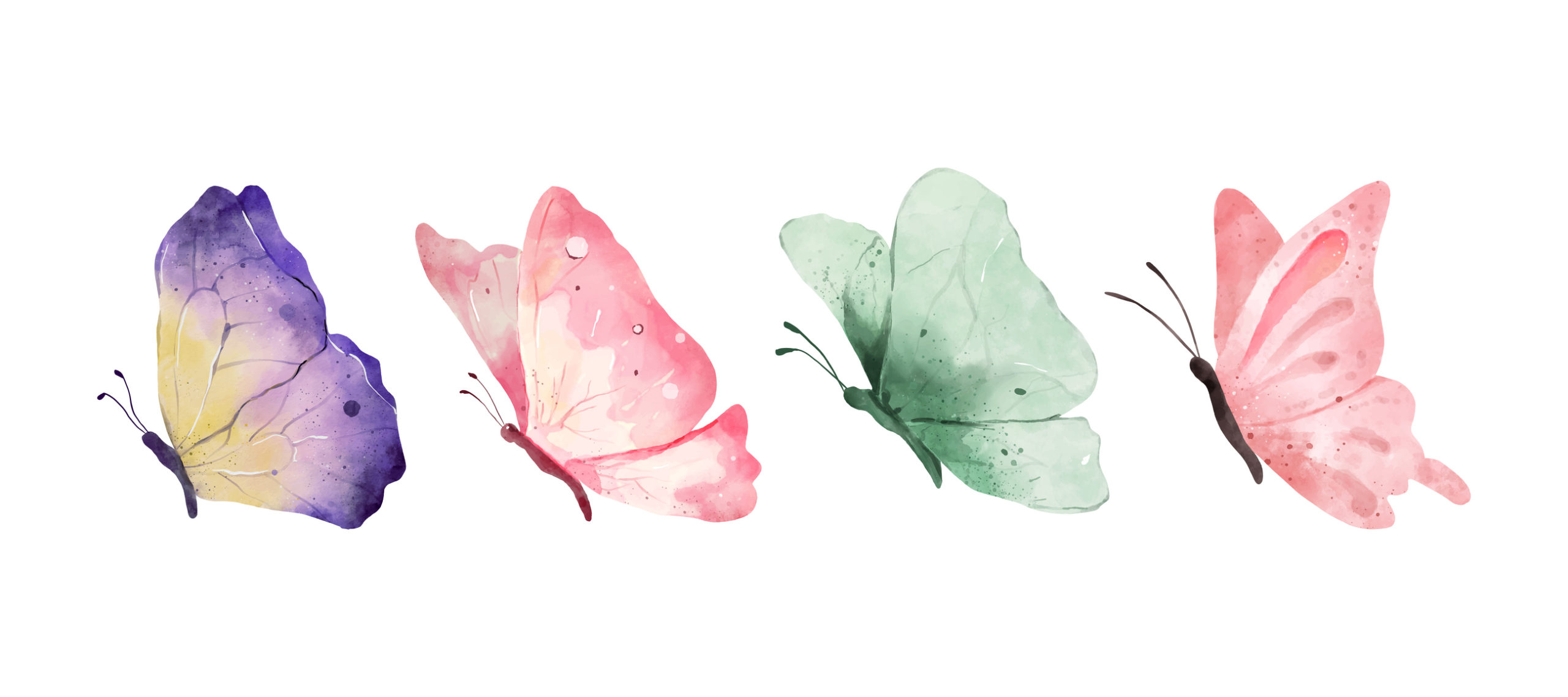 Colorful butterflies watercolor isolated on white background. Blue, orange, purple and pink butterfly. Spring animal vector illustration