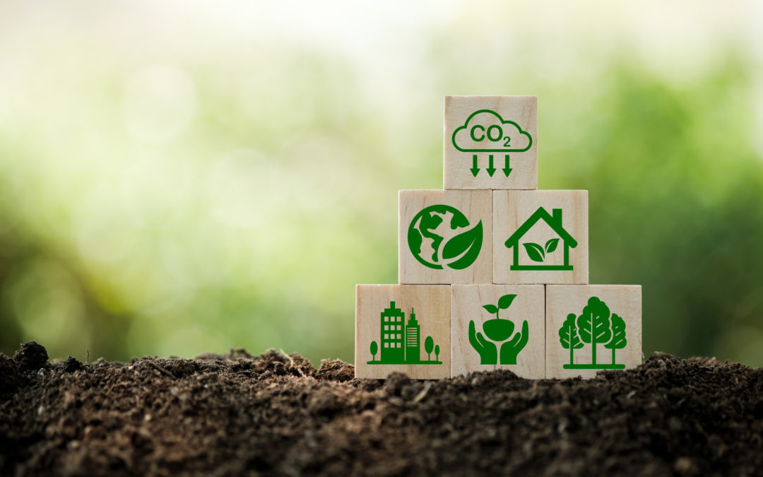 Little Successes Can Change Everything: Building Solutions for Our Carbon Future – Episode 2