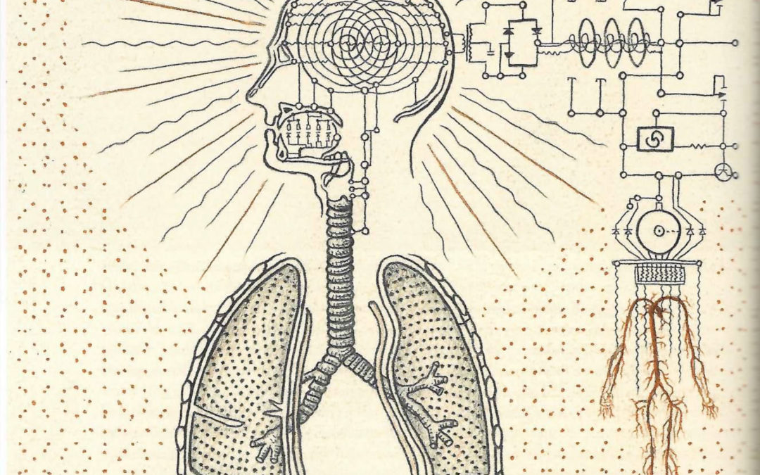 May 12, 2023: Cogitation