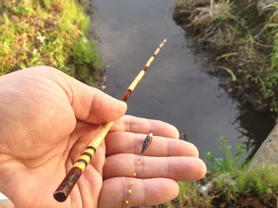Microfishing: Fishing for Really Tiny Fish