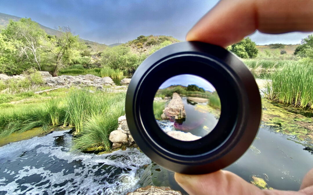 September 8, 2024: Finding the “Big Thing”: Narrowing Your Focus