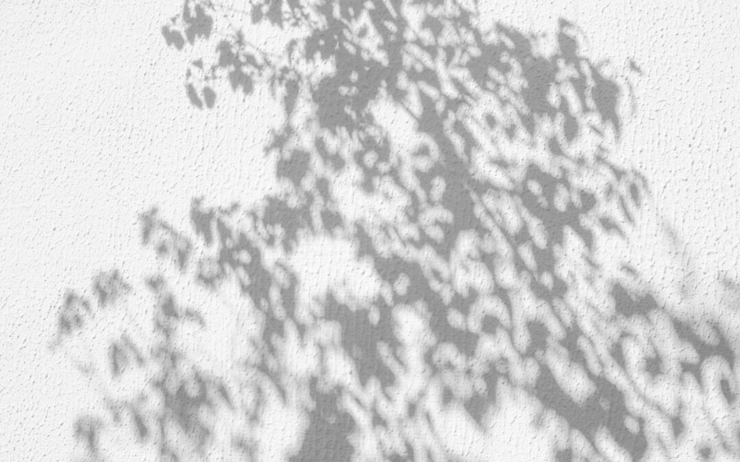 November 3, 2024: Shadows