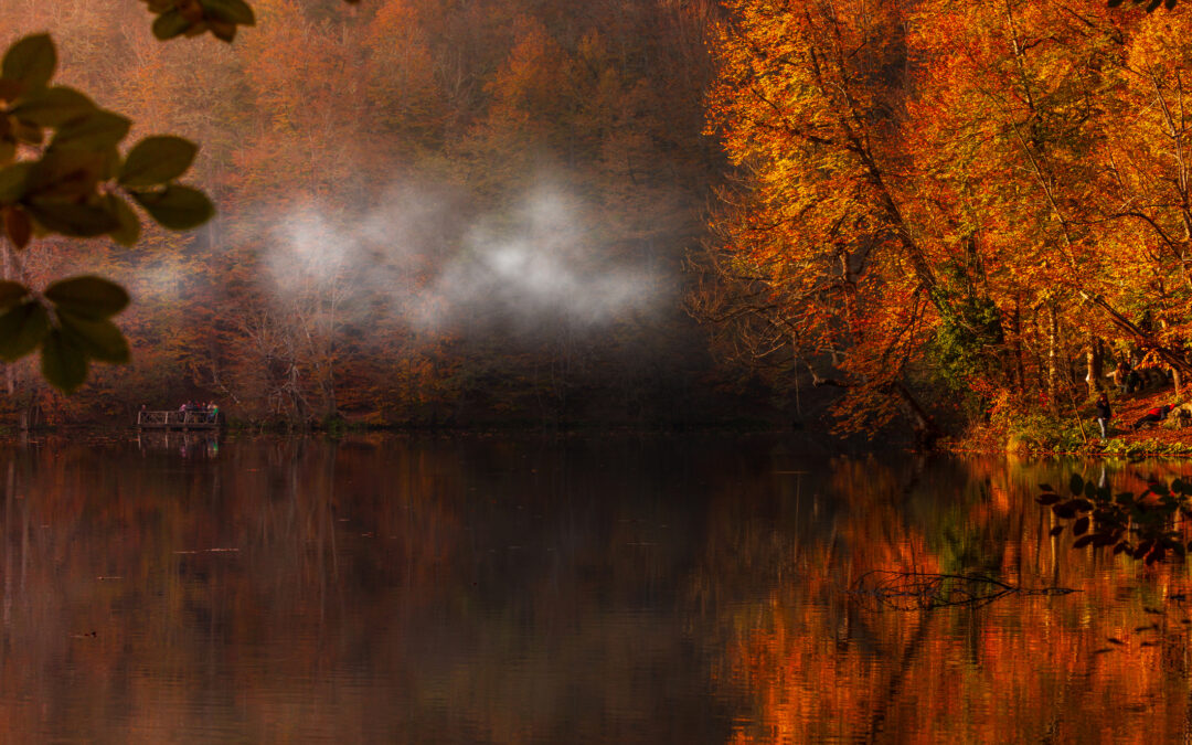 October 13, 2024: Weird, Spooky, and Wild Halloween: The Spirits of Fall