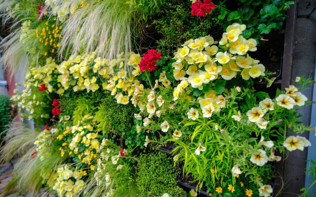 May 5, 2024: Flowering in Stages