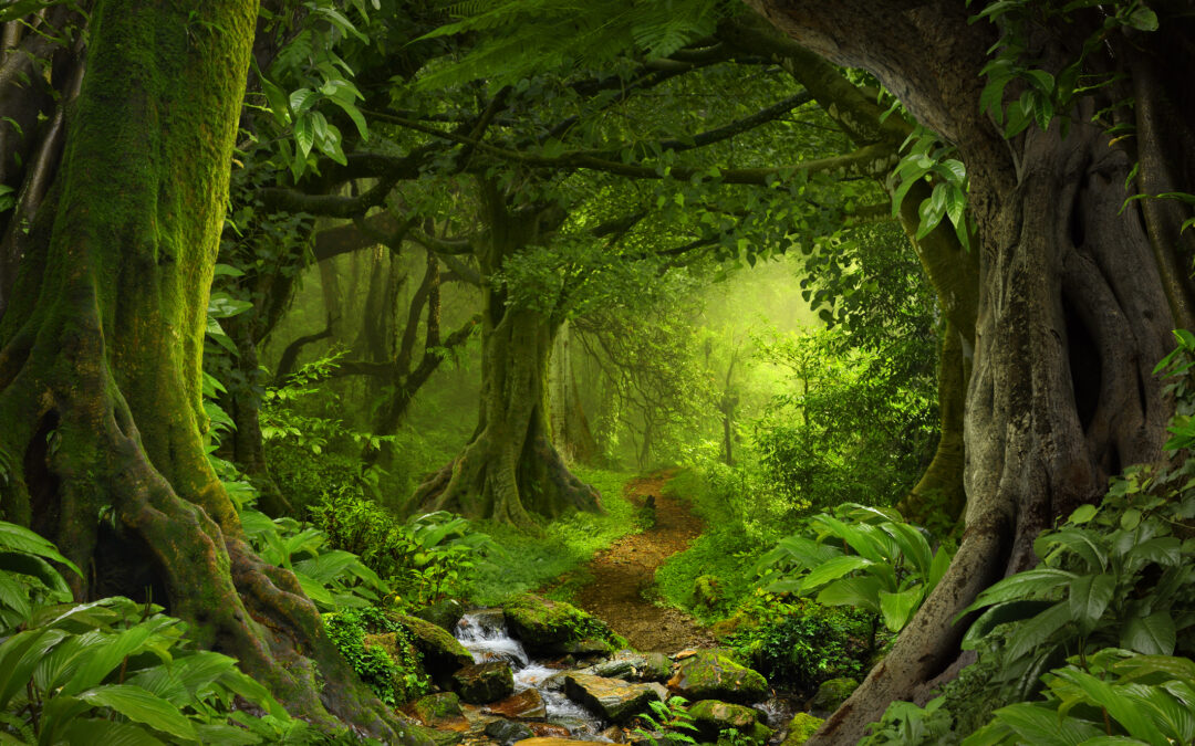 August 9, 2024: Gaia: An Updated Look at the Evolution of Life and the Earth