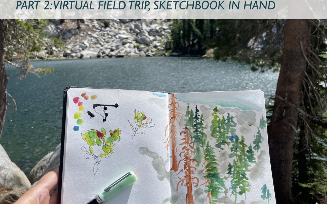 A Guide to Sketching in the Field with Robin Carlson Part 2