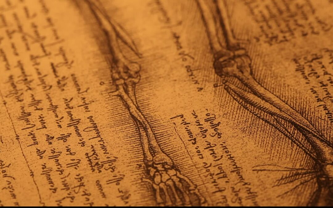 Friday, May 9th, 1-2:00 pm – da Vinci’s Sensazione: The Power of Perception