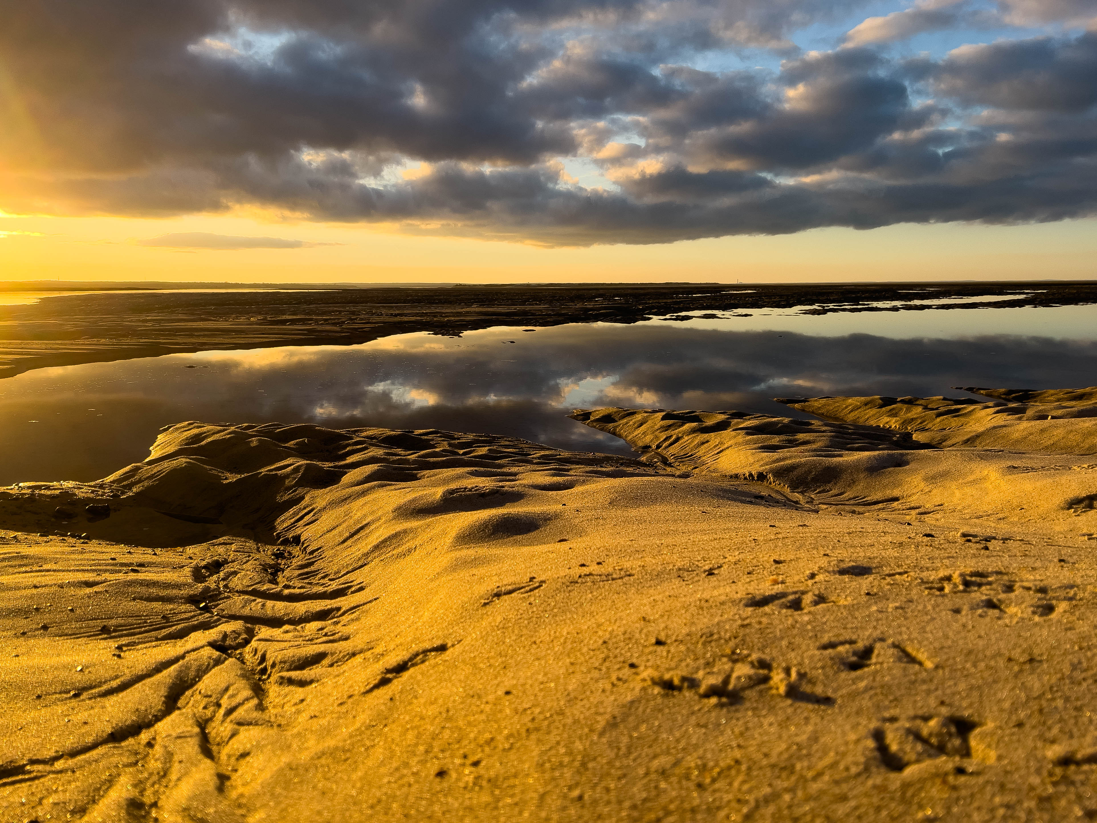 The Art of Seeing: Light and Color