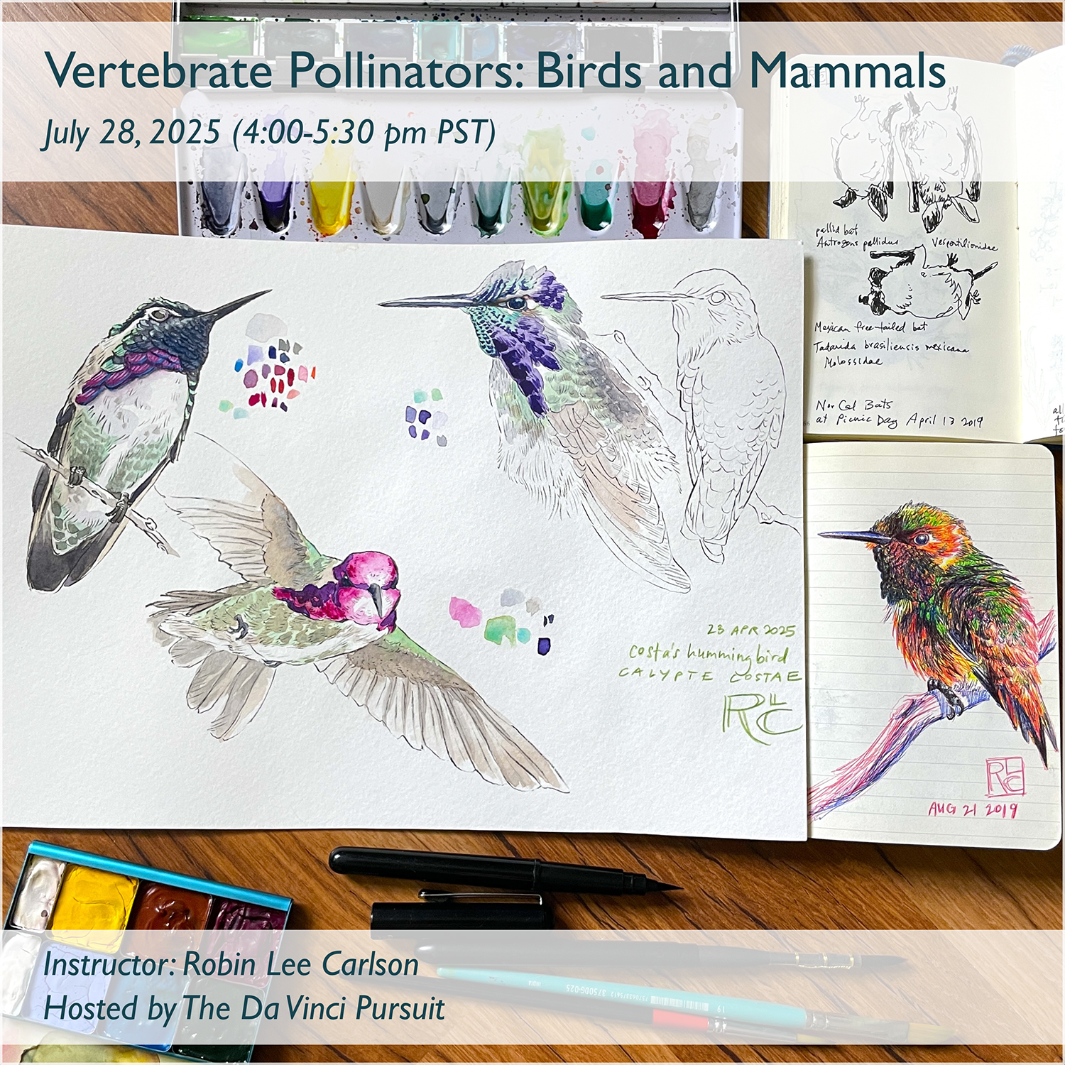 Protected: Participants: Vertebrate Pollinators: Birds and Mammals
